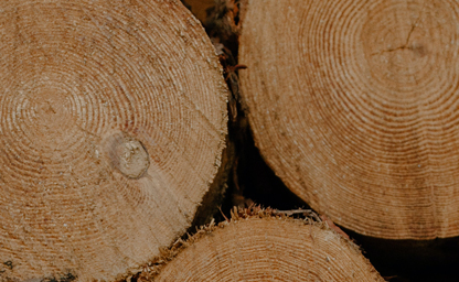 Dynaseal End Grain Sealer for all Wood Types